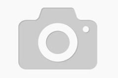 Thermo-rol-B-80mm,-Ø-73/12mm,-L-75-meter,-48gr-(50/ds)